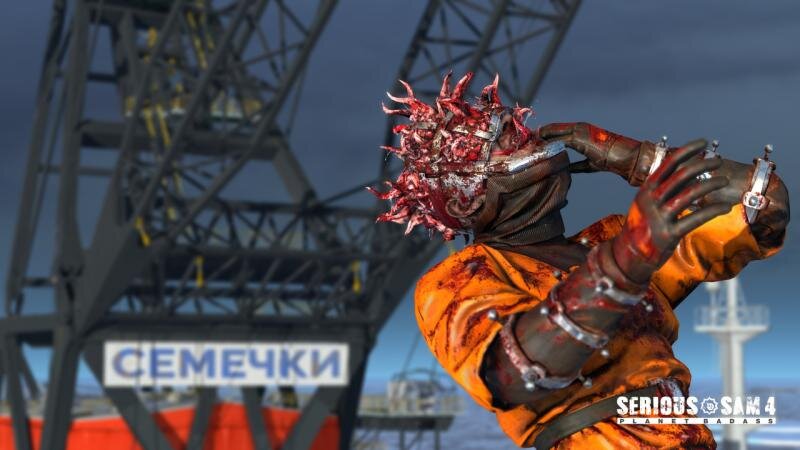 Кому семечек?