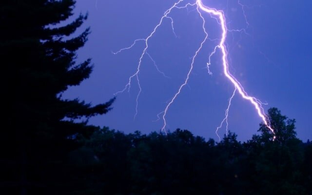 Гроза в лесу