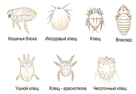 Зуд в ушах: причины и симптомы