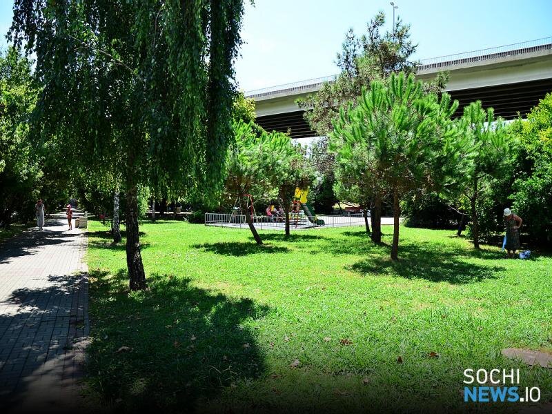 
Почти сразу мы обратились к прокурору города Сочи:
 