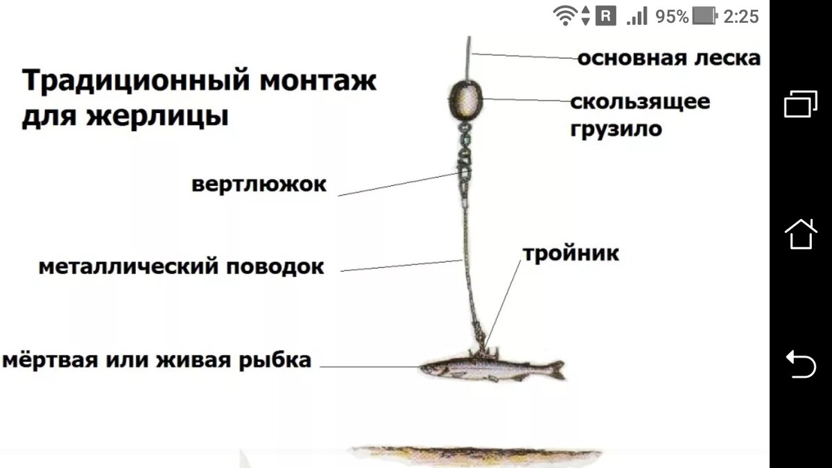 Зимние жерлицы на щуку: виды, оснастка, конструкция