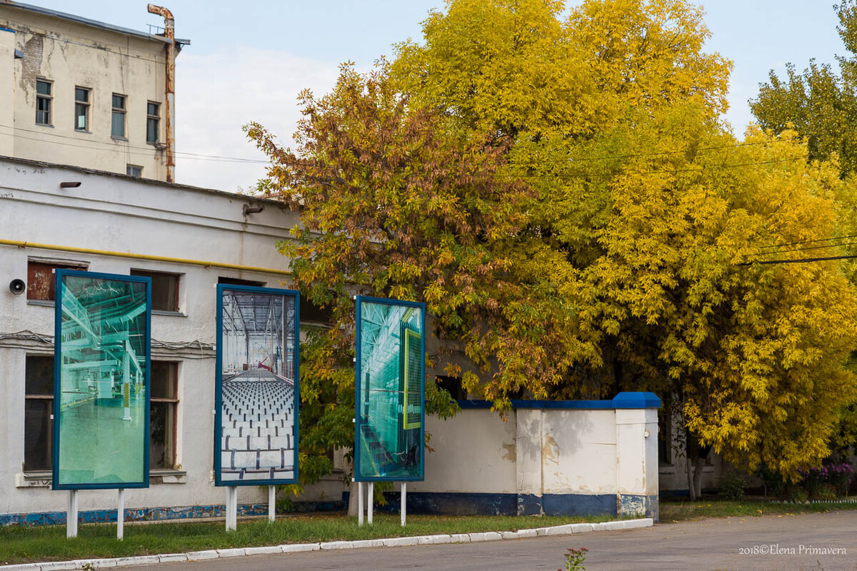 Но как говорится в пословице "надо совмещать приятное с полезным"  
