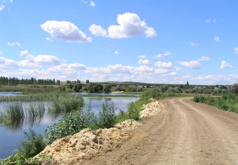 Дорога вдоль пруда реки Россошь (фотография tarasovka.3dn.ru)