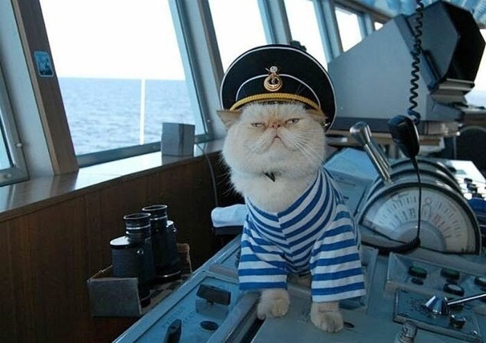 https://ushilapychvost.ru/blog?t=%D0%92%D1%81%D0%B5%20%D0%BE%20%D0%BA%D0%BE%D1%88%D0%BA%D0%B0%D1%85&page=55