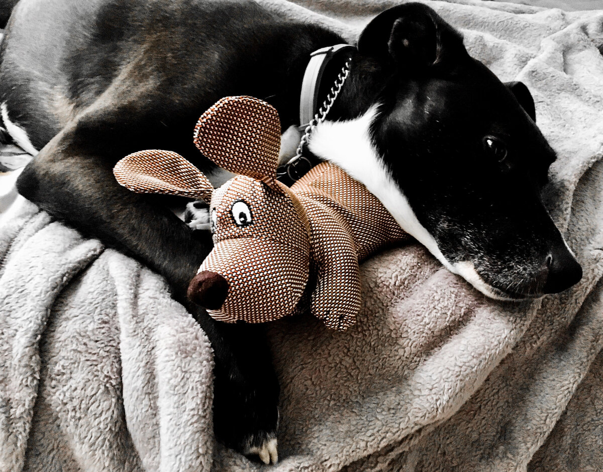 Фото anokarina/flickr.com