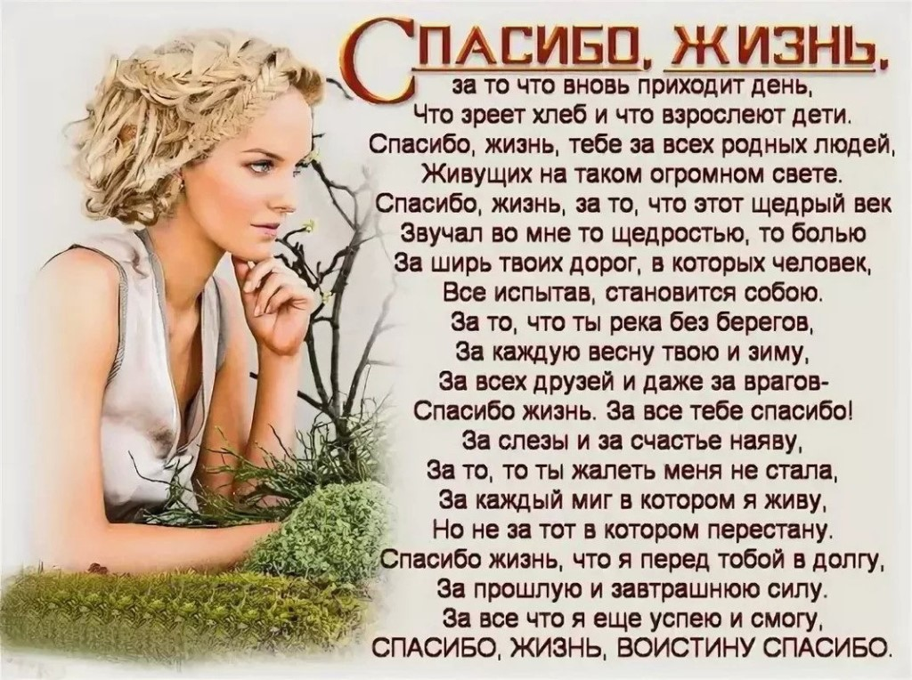 Стихи о жизни. Красивые женские стихи о жизни. Спасибо жизнь стихи. Стихи о прожитой жизни и судьбе женщины.