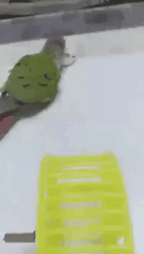 Жёсткий инструктор