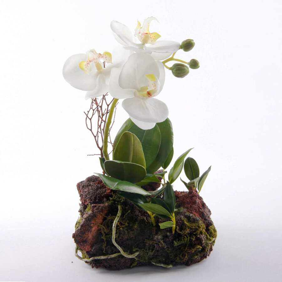 фото из сети