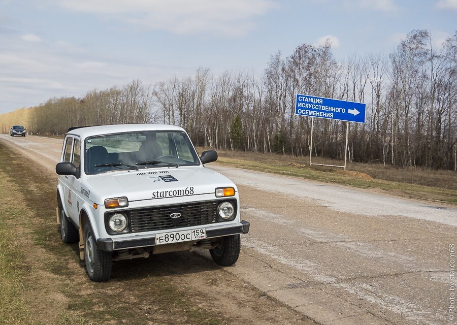 Нива башкирия. Нива 068. Северная Нива Оренбургская. Нива на дороге. Нива Башкортостан.