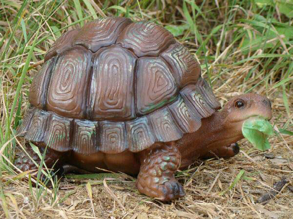 Создание креативного сада