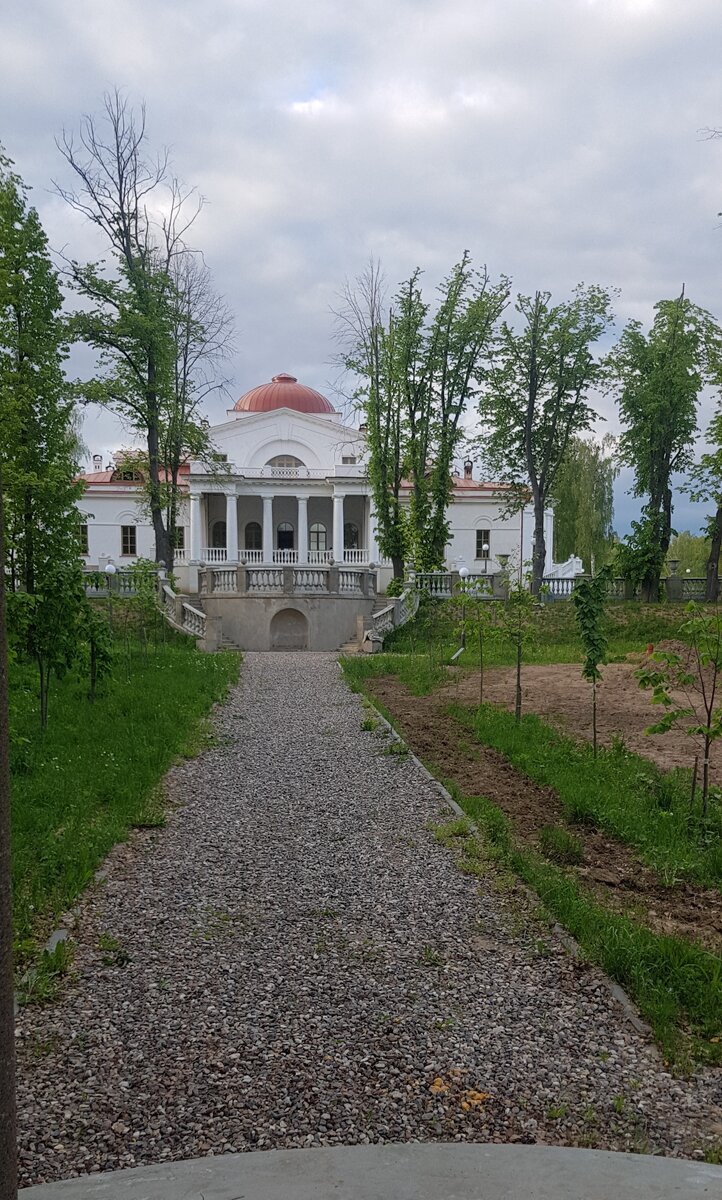 Липовая аллея в усадьбе " Студеные ключи".Фото автора.