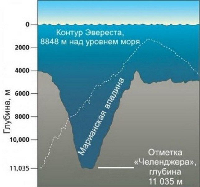 Наука, Земля, океан