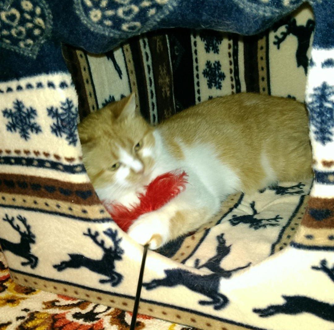 Царский домик :-)