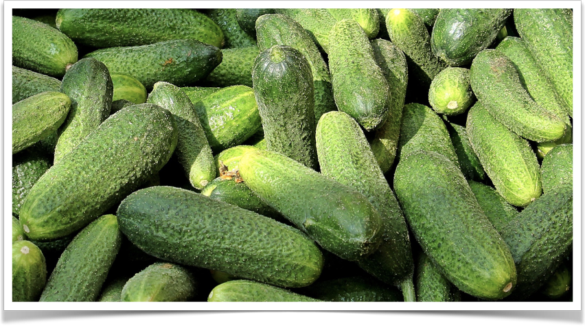 Лексика. Урок 6. Названия овощей на английском языке. Часть I ...