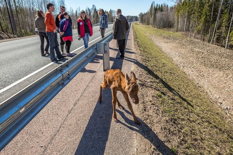 Фото Ильи Тимина