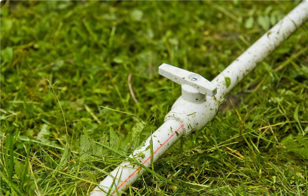 Фото из Яндекс Картинок