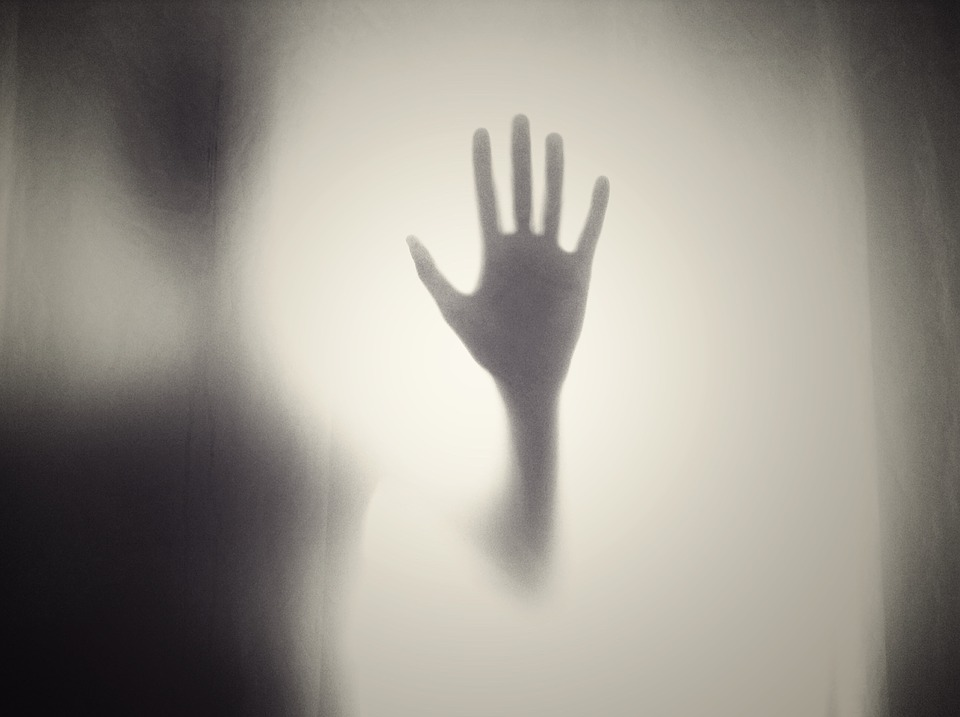 https://pixabay.com/ru/photos/%D1%80%D1%83%D0%BA%D0%B0-%D1%81%D0%B8%D0%BB%D1%83%D1%8D%D1%82-%D1%84%D0%BE%D1%80%D0%BC%D1%8B-%D1%83%D0%B6%D0%B0%D1%81-984170/