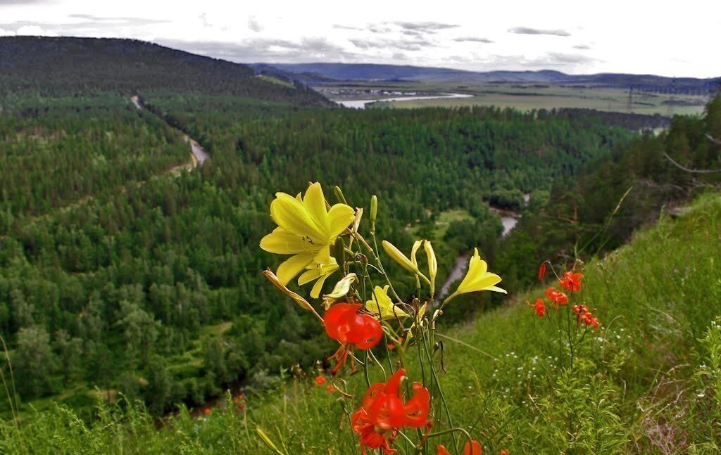 Фото: Яндекс