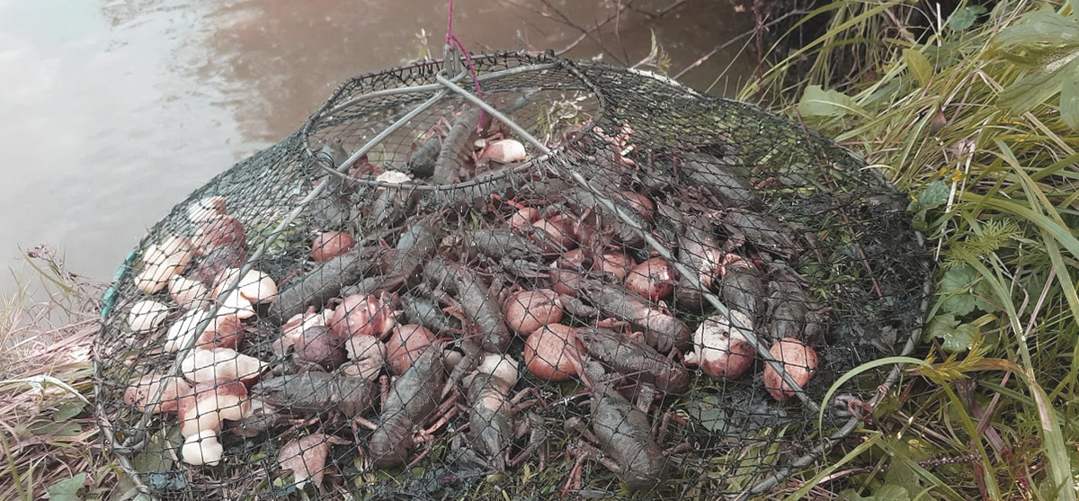 Поставьте лайк