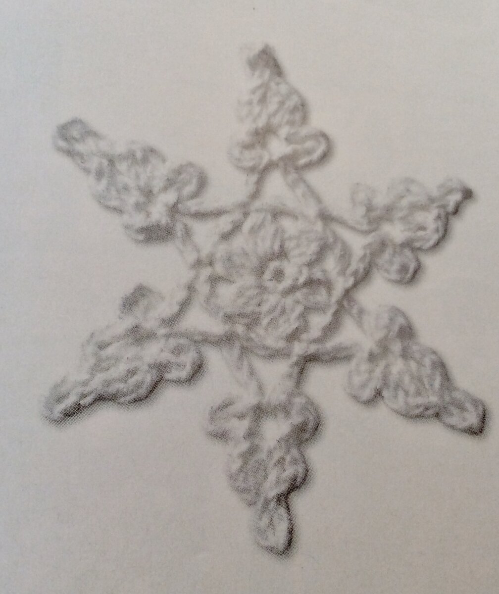 Красавица снежинка ❄️ 