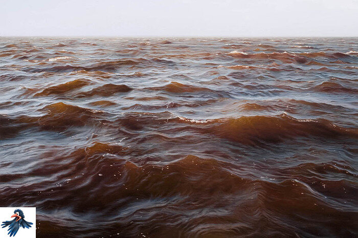 Мэтью Корнелл (Matthew Cornell)