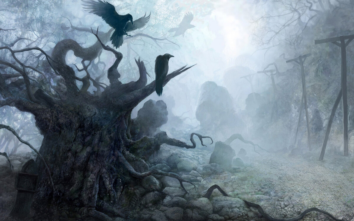 Изображение из открытых источников