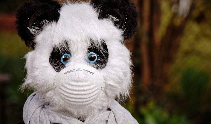 Фото: pixabay.com