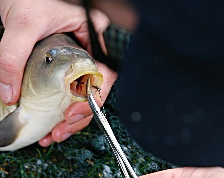 Можно экспериментировать с запахами...