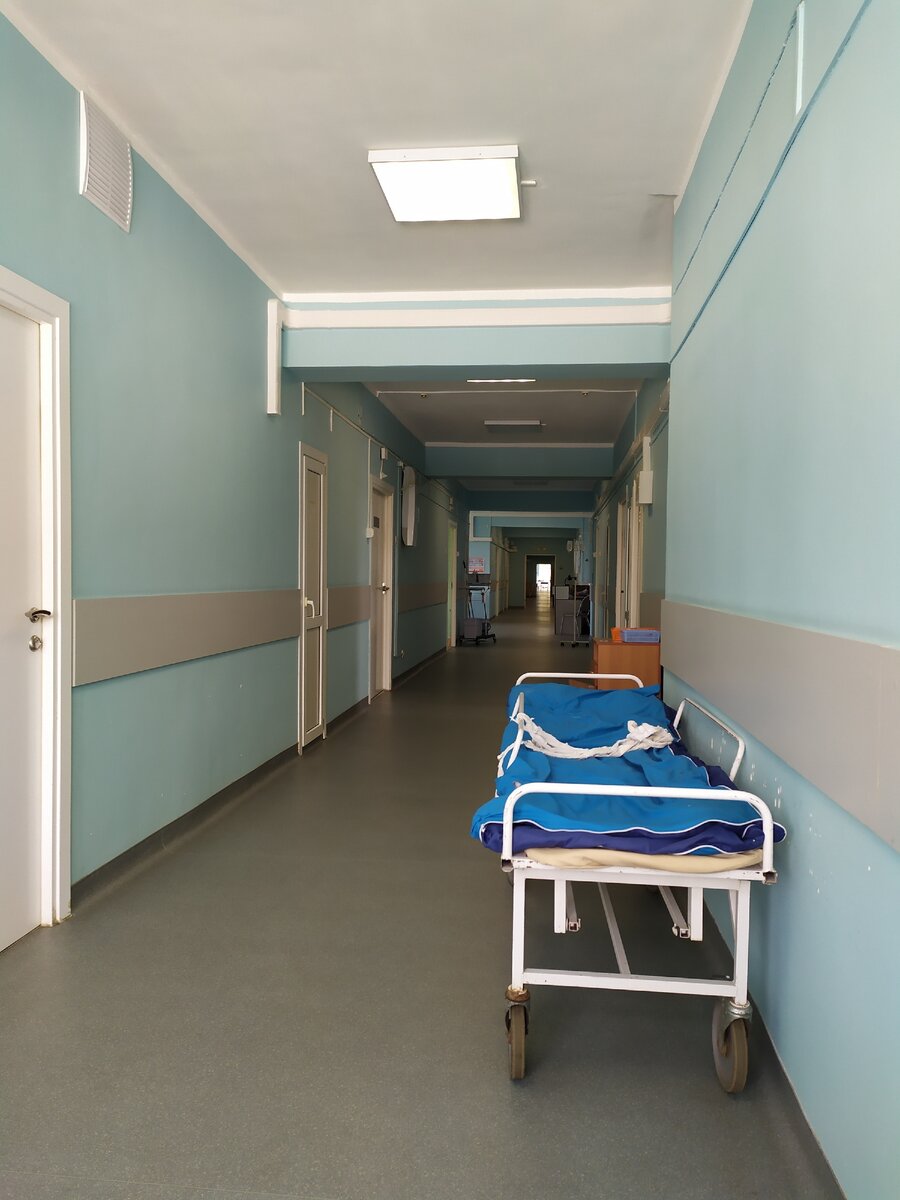 Мой дом на две недели. 