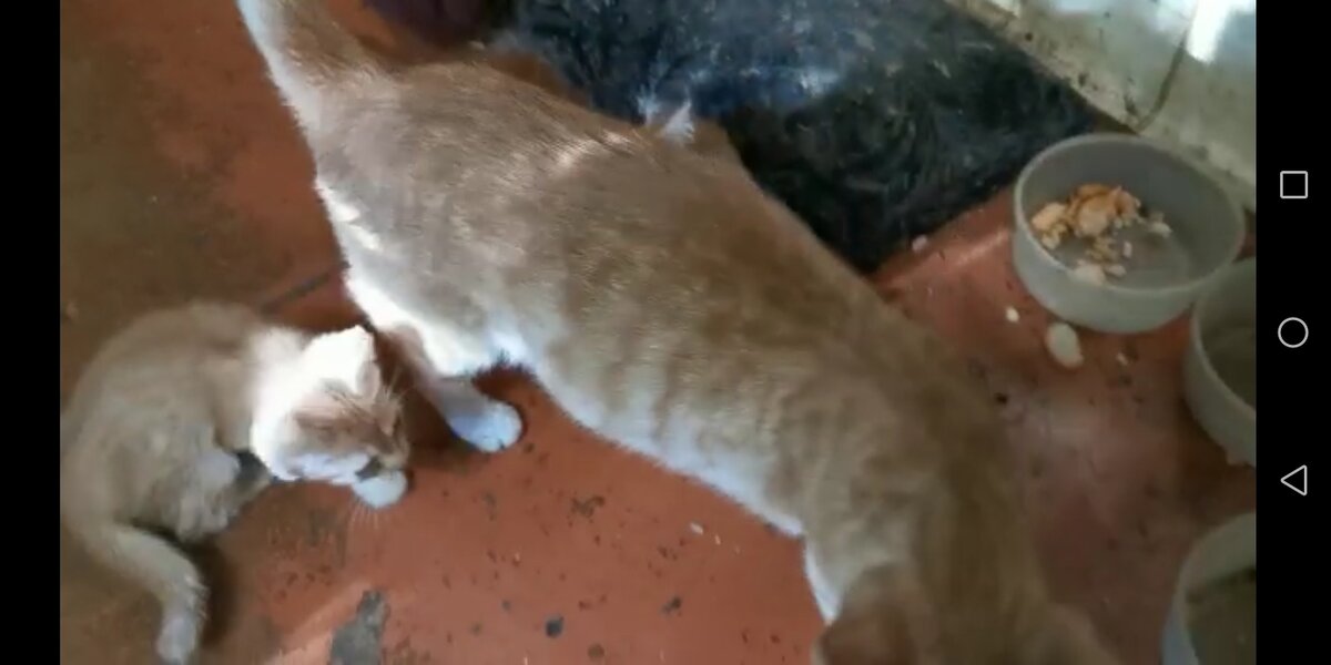 Фото Валерия