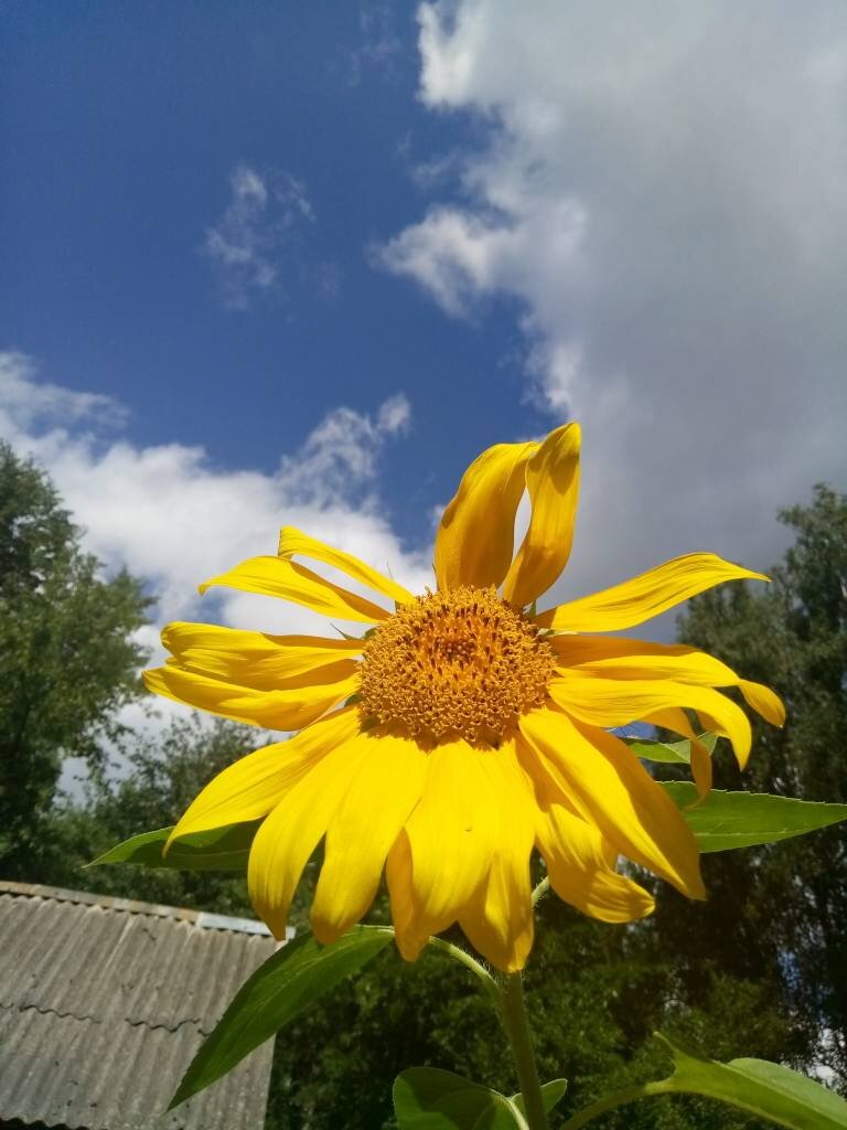 Пейзаж вполне в духе Суфизма. Тем более, что на фоне моей философской бани )