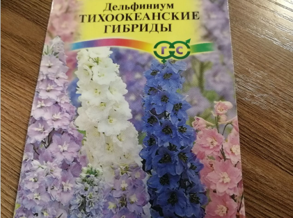 Семена дельфиниумов, фото автора