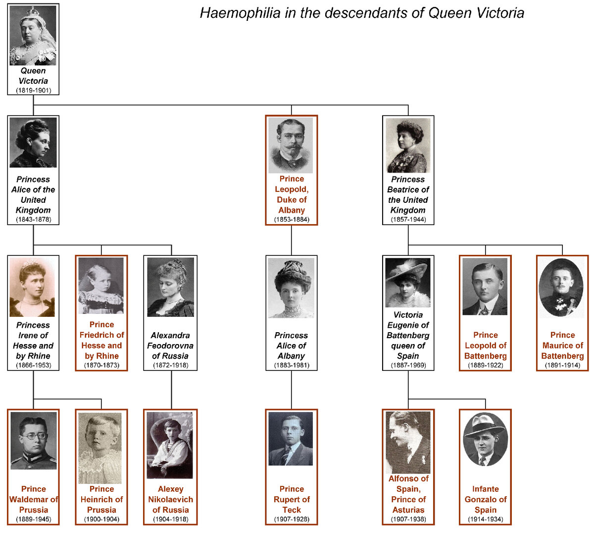 Была ли королева Виктория незаконнорожденной, куда пропал ген гемофилии и  имеет ли Елизавета II право на престол | Виражи истории | Дзен