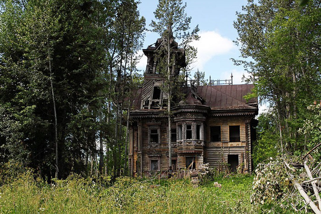 Яндекс картинки