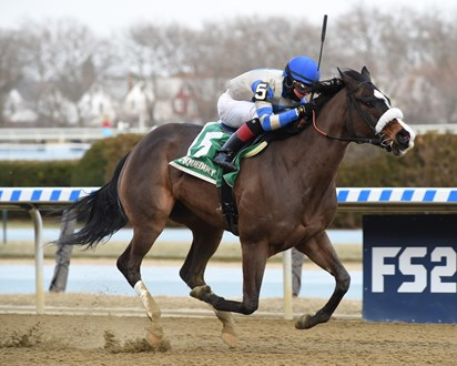 Кепт Тру побеждает на скачках Broadway Stakes в 2020 году 
Фото: Coglianese Photos/Chelsea Durand