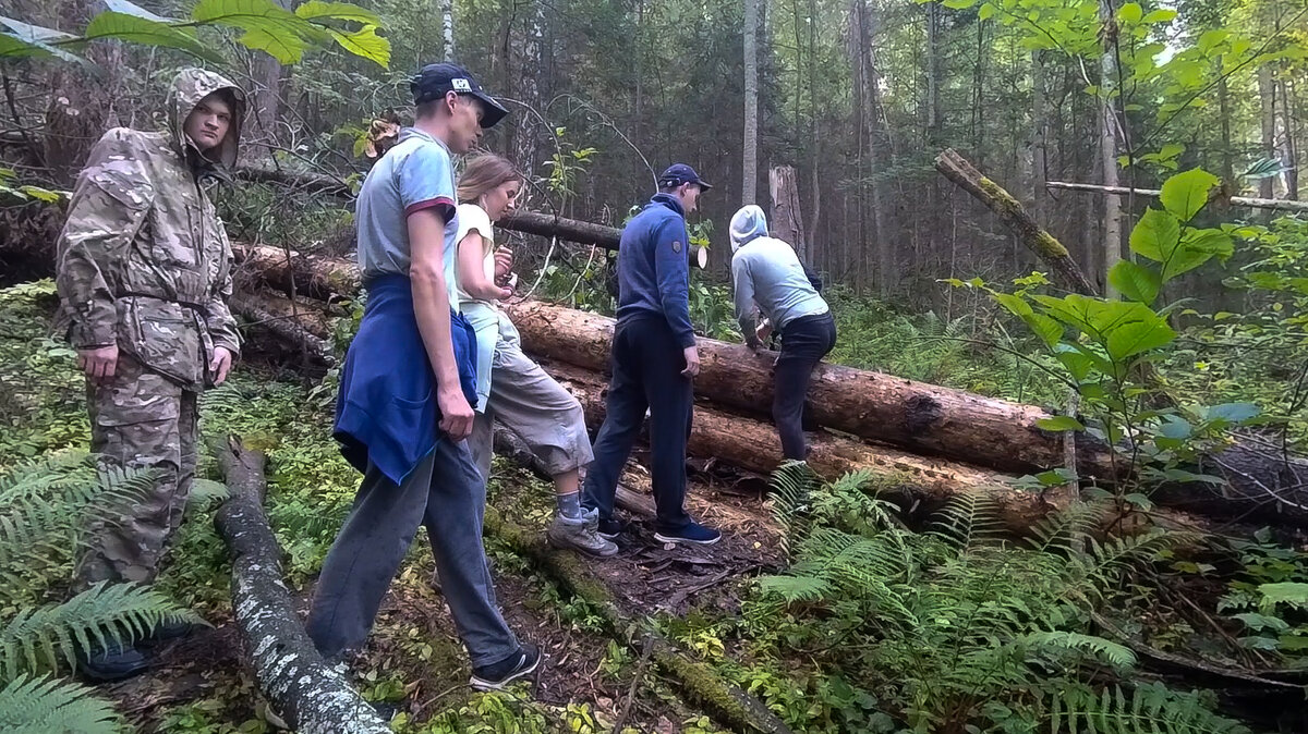 Путь до пещеры