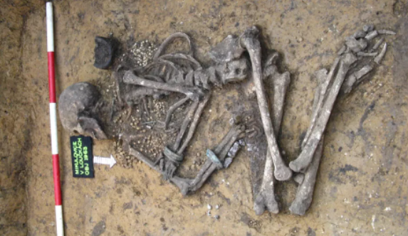 останки красавицы