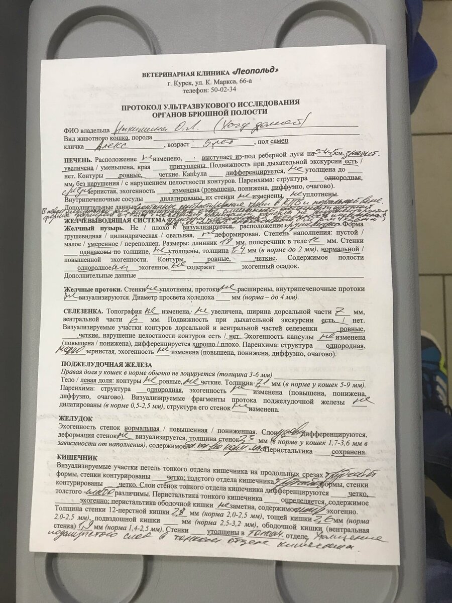 Алекс один из самых несчастных котиков нашего приюта... Беды не отпускают  его... Нужна ваша помощь! | Приют для кошек 