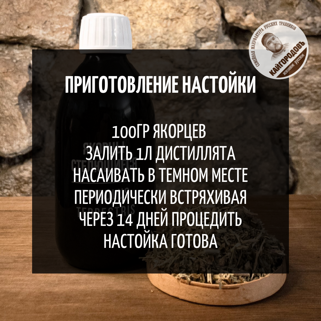 Купить якорцы можно перейдя по ссылке https://eco-bay.ru/nastoyka-yakorcev/