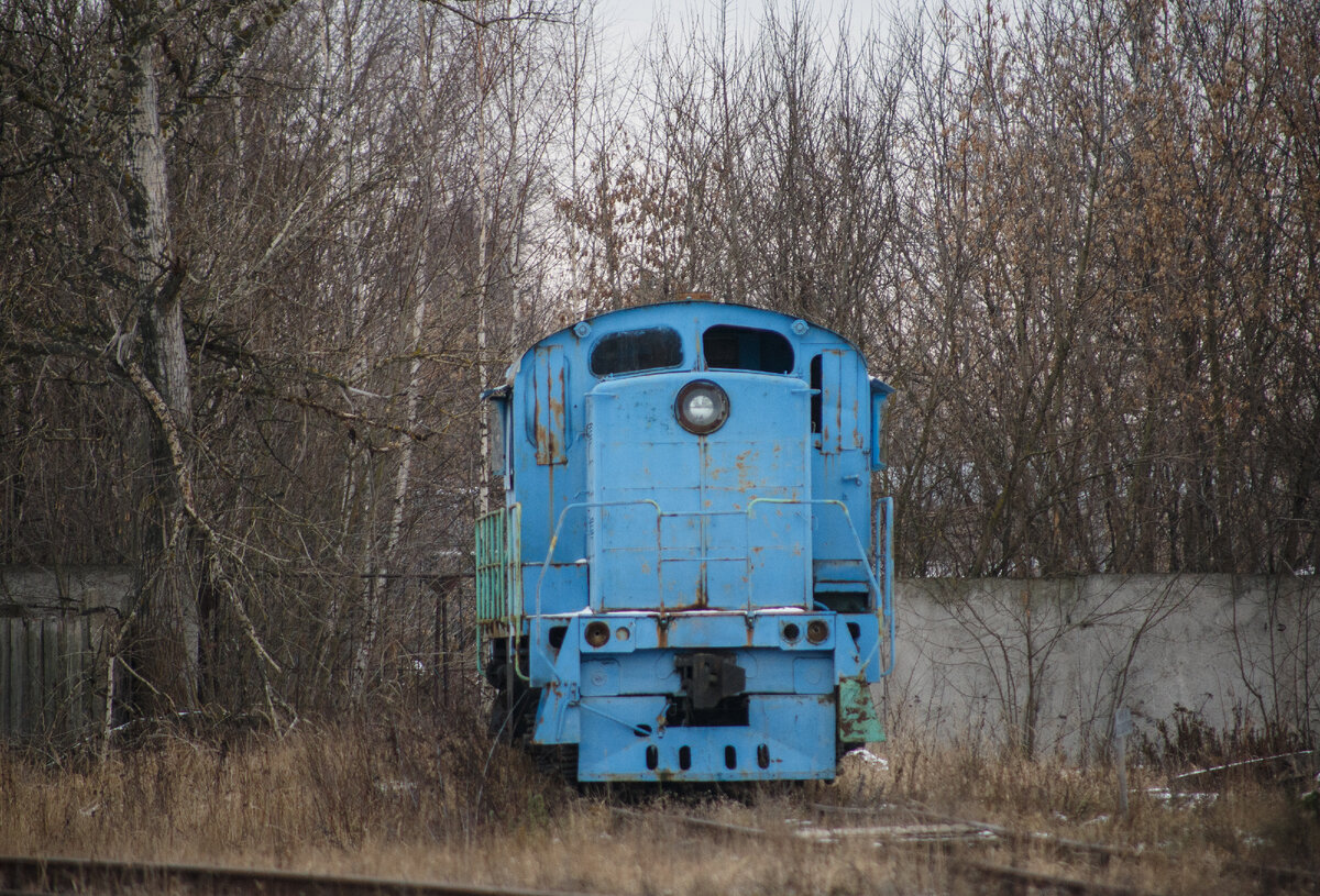 Одинокий ТГМ4