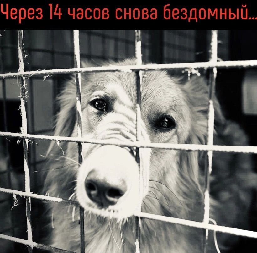 есть всего 14 часов 