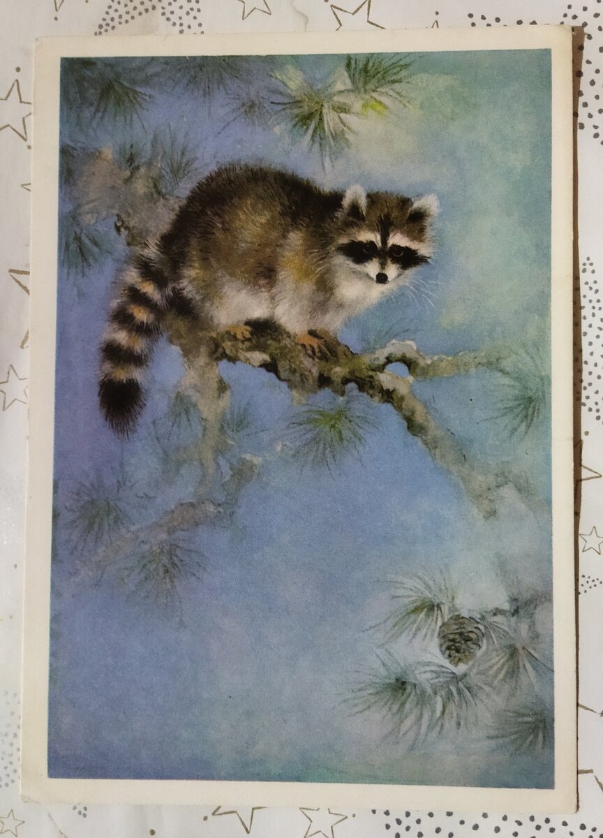 Енот-полоскун. Тираж 1 млн. Цена 1к. "Изобразительное искусство"