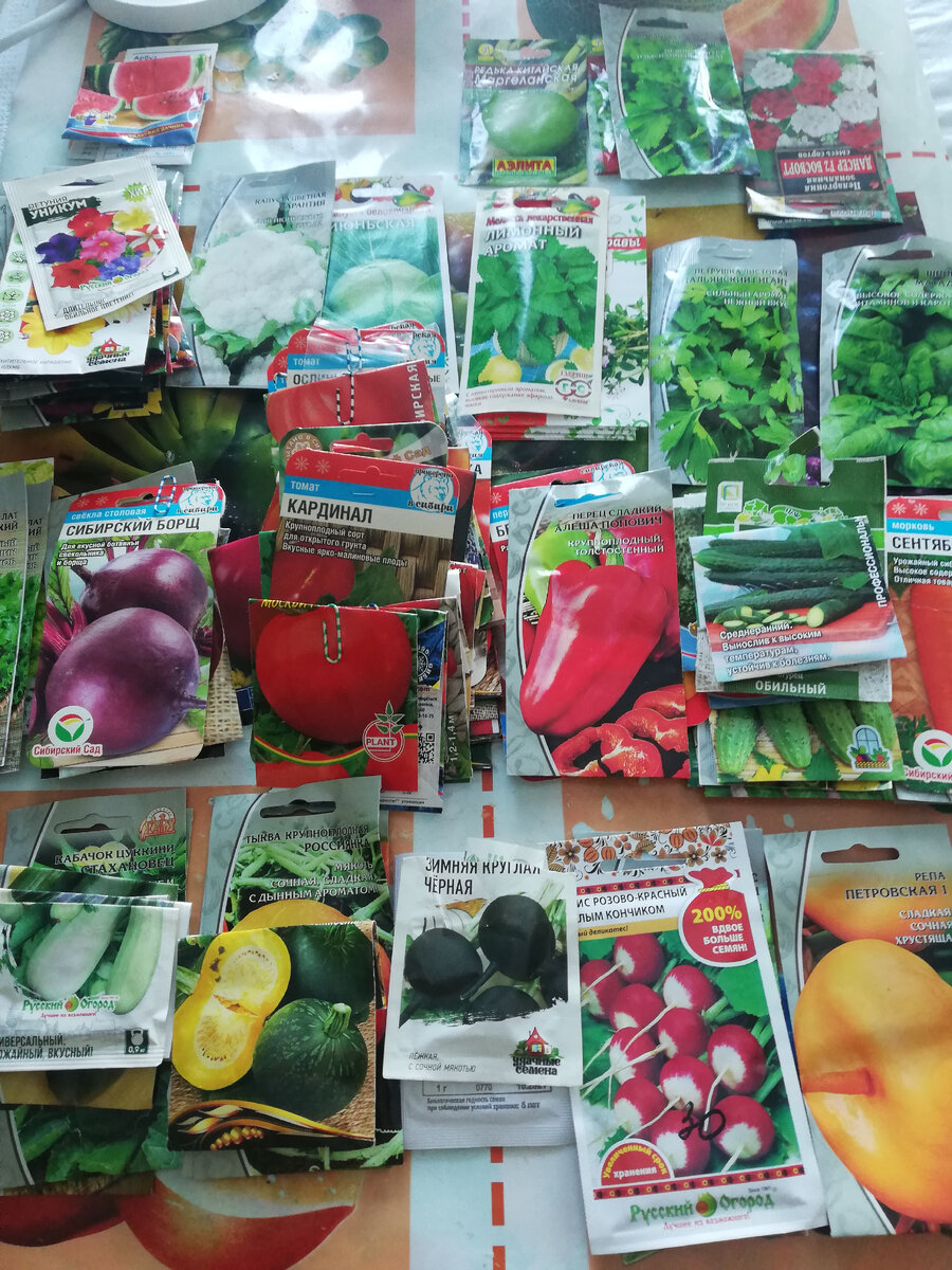 36 сортов помидор ,три сорта кроме этих выбросила,в том году не понравились.