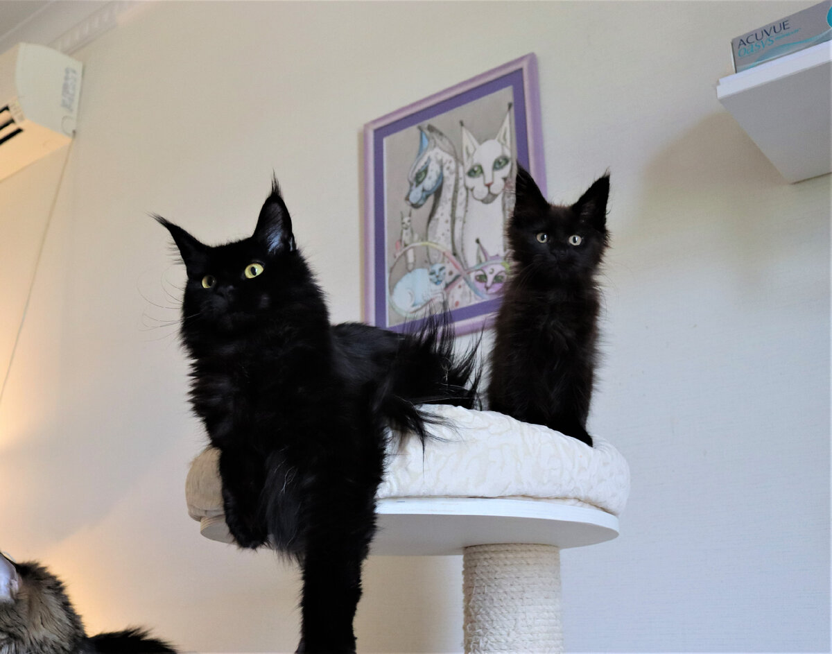 Фото из личного архива.