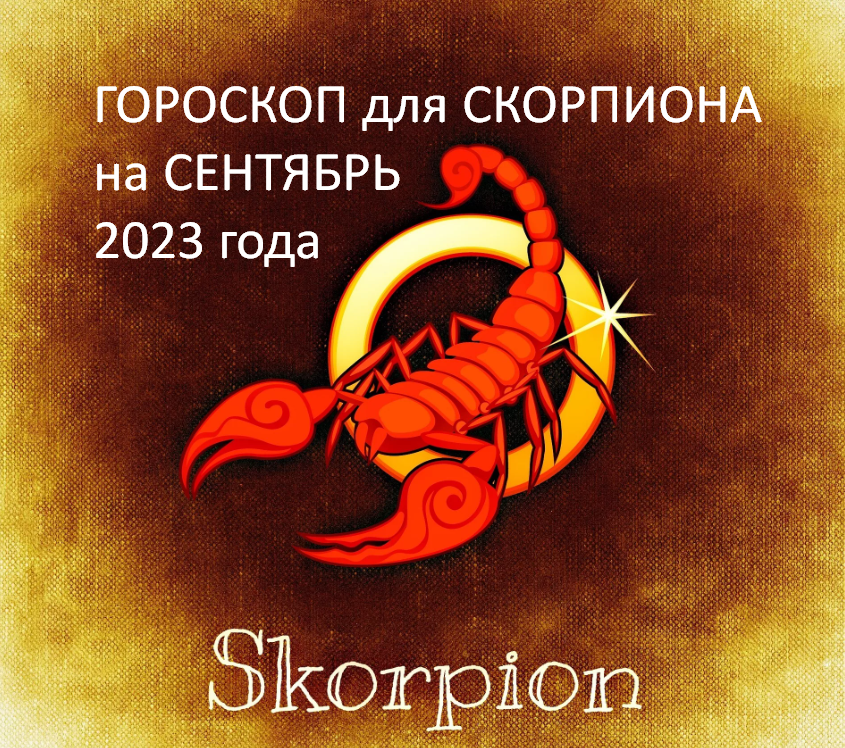 Фото из открытого источника. 