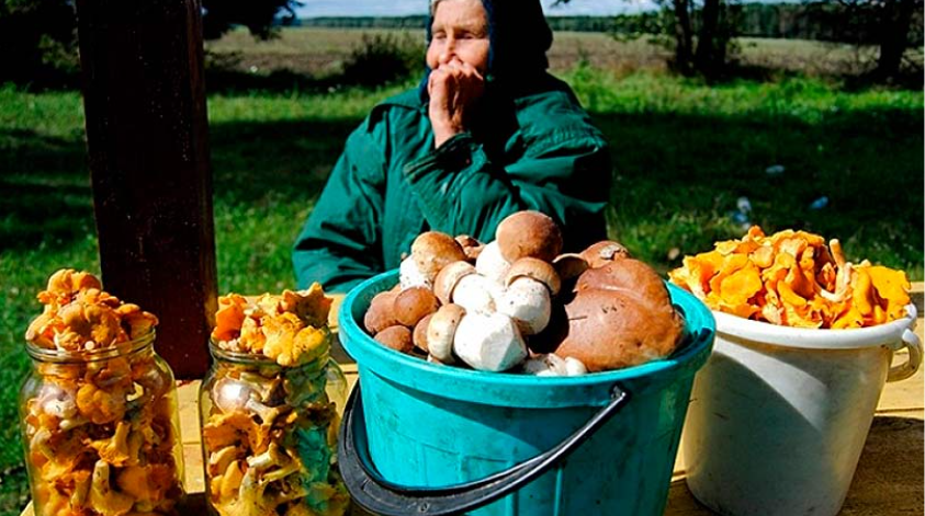 источник: https://www.google.com/search