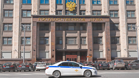    В ГД заявили о фактах распространения деструктивных материалов для школьников Анастасия Романова