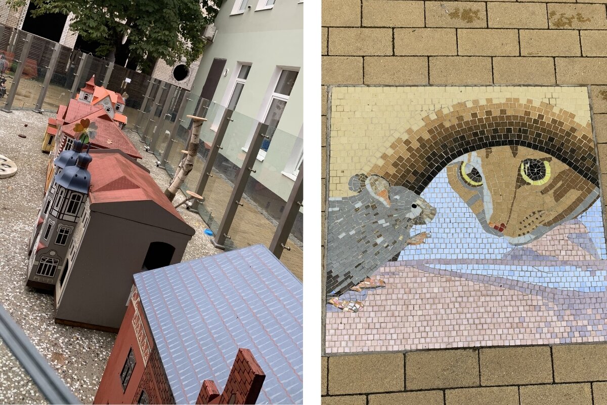 Зеленоградск-Город кошек. Фото автора