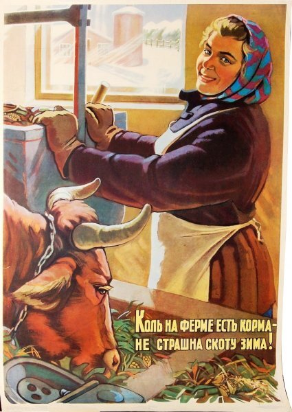 фото из яндекса