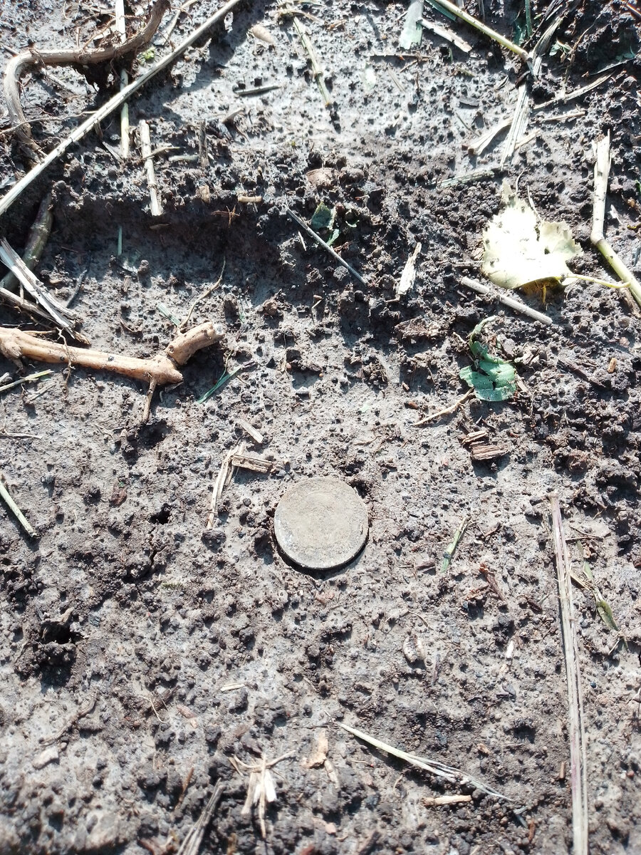 Фото автора. Вторая находка.